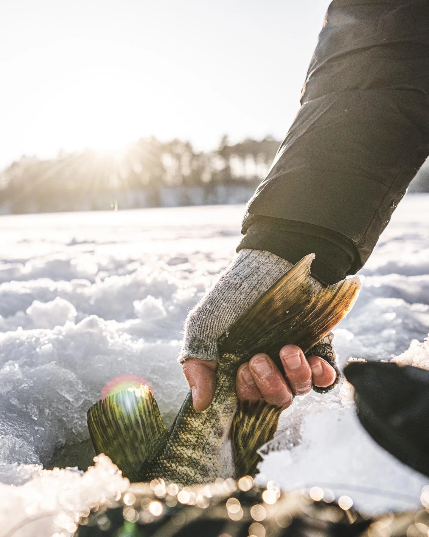 Simms Wool Half-Finger Glove