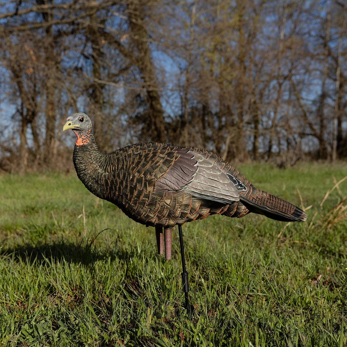 Turkey decoy in a grassy field with trees in the background
