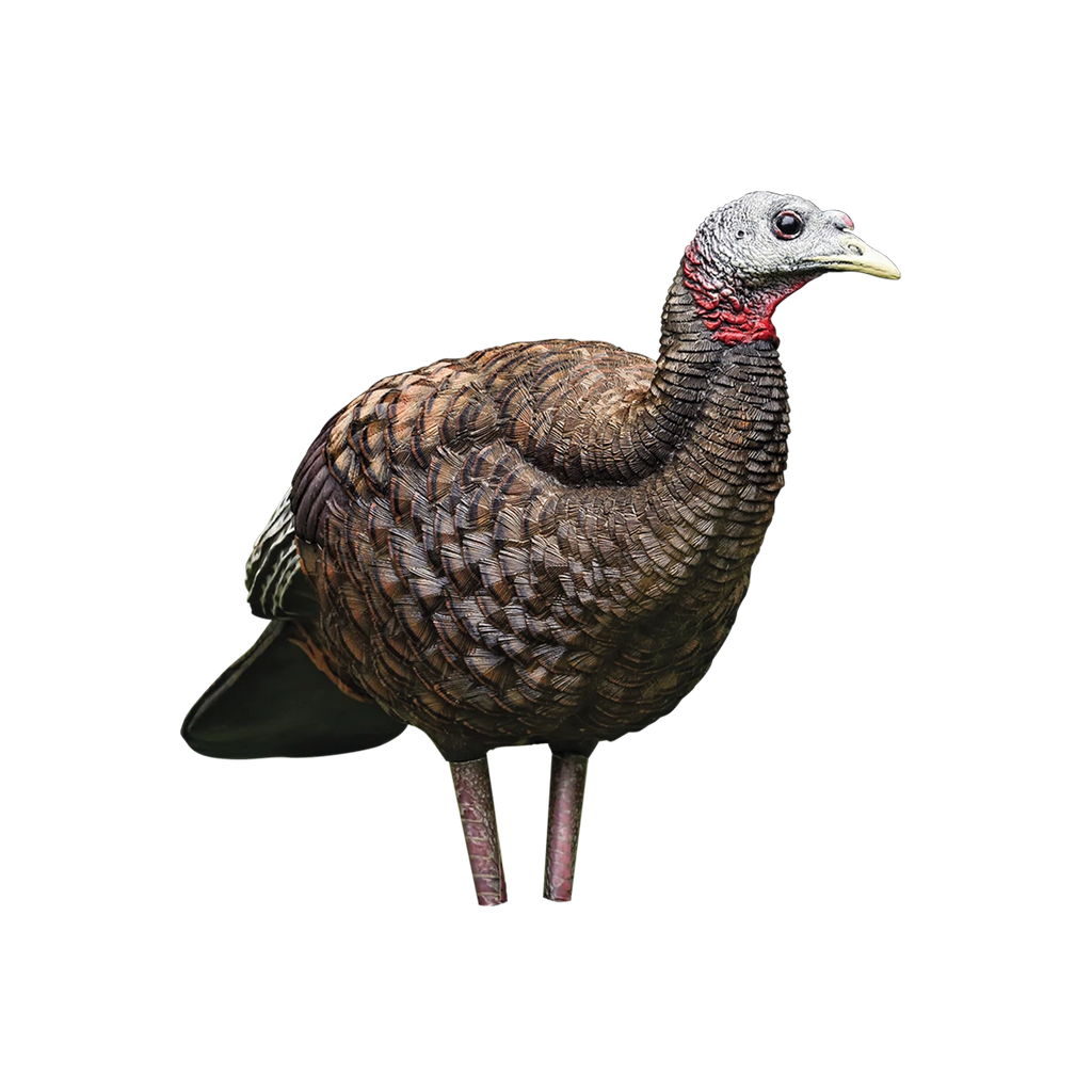 Realistic turkey decoy on a white background