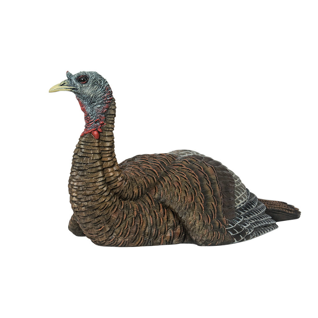 Realistic turkey decoy on a white background