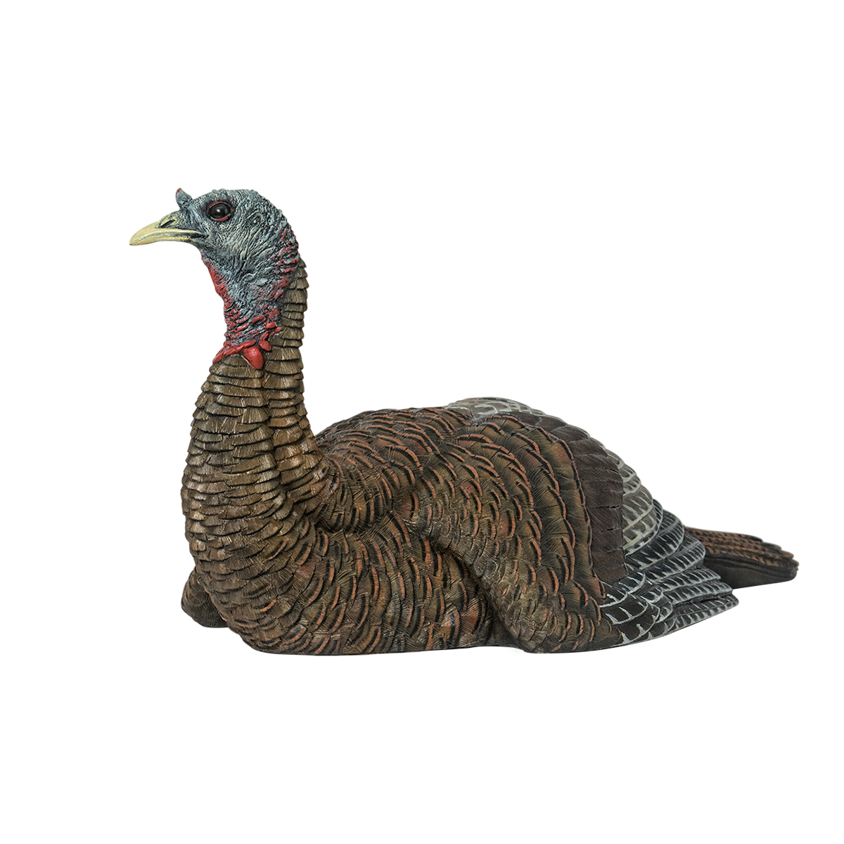 Realistic turkey decoy on a white background