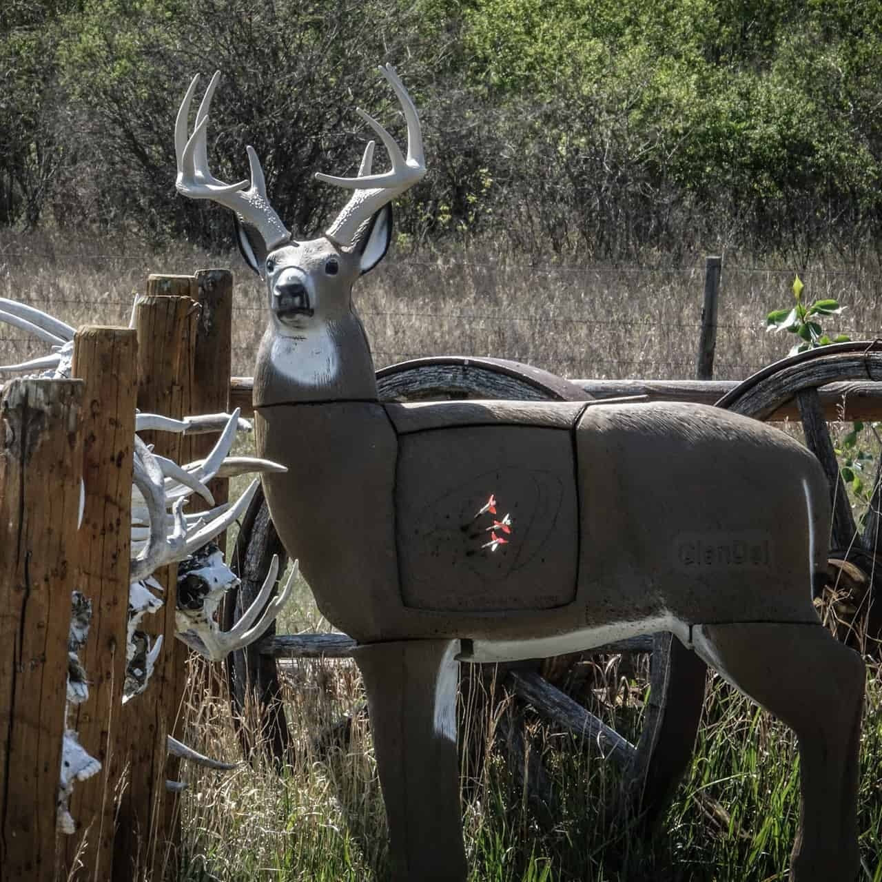 GLENDEL BUCK 3D ARCHERY TARGET