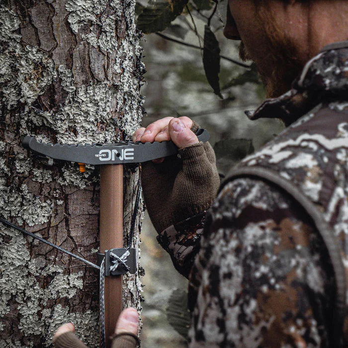 ONE CLIMBING STICKS