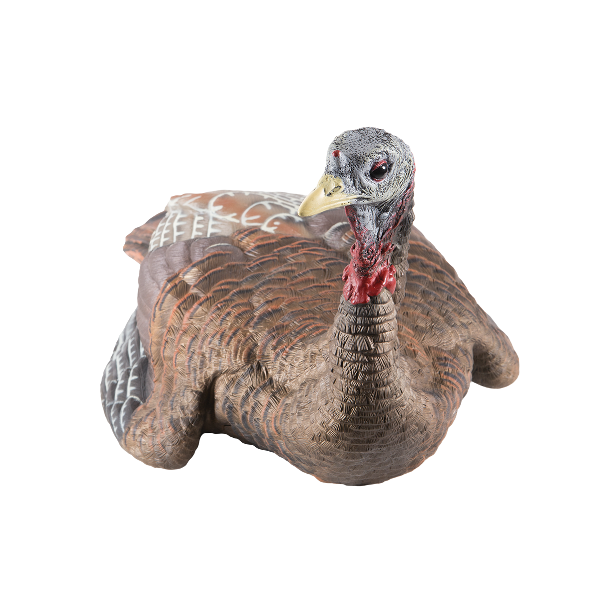 Turkey decoy on a white background