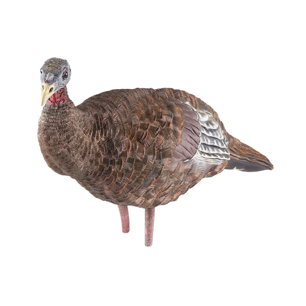 Realistic turkey decoy on a white background
