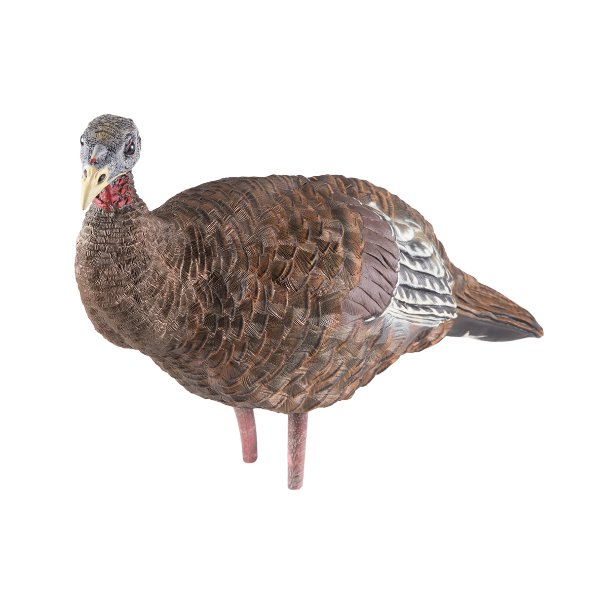 Realistic turkey decoy on a white background