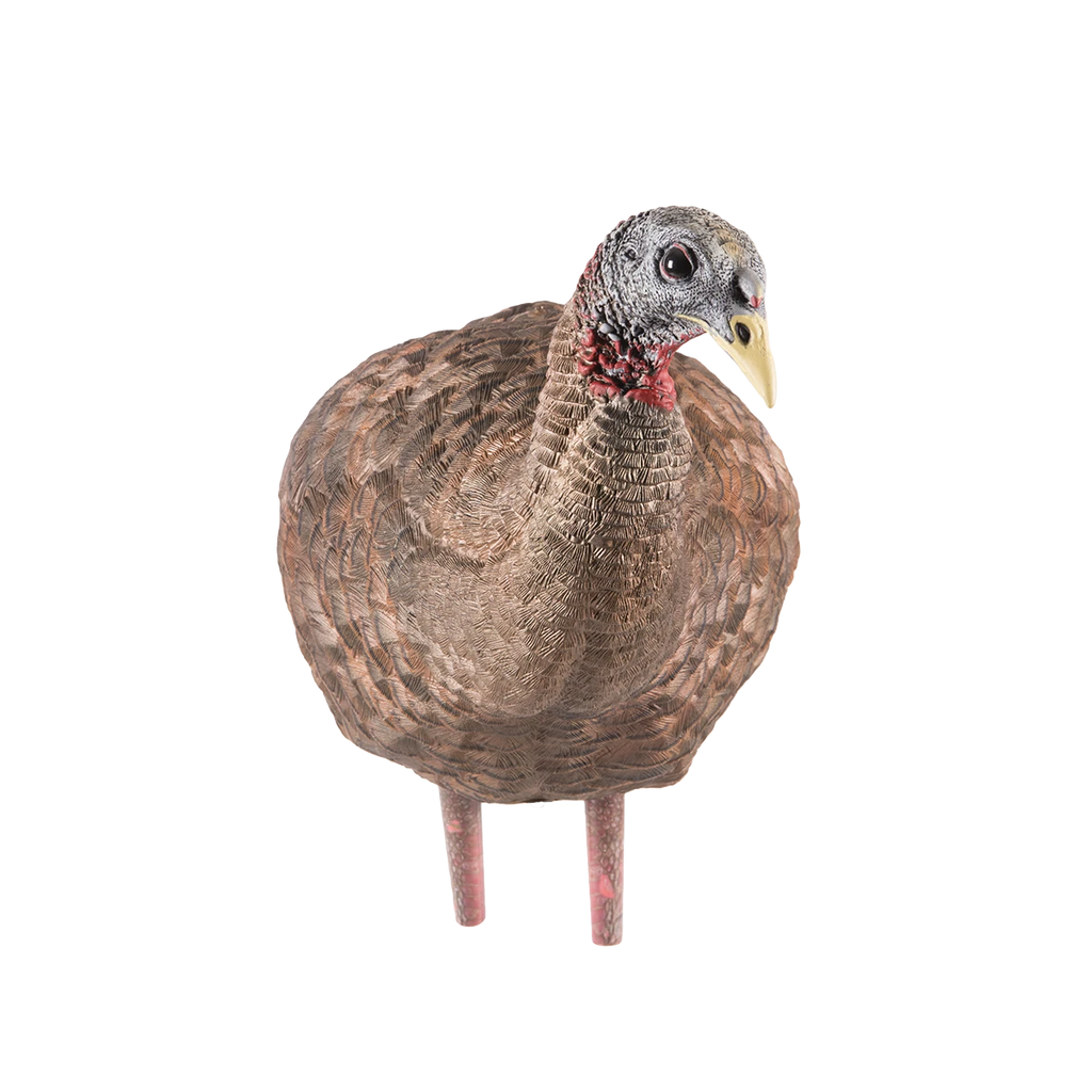 Realistic turkey decoy on a white background