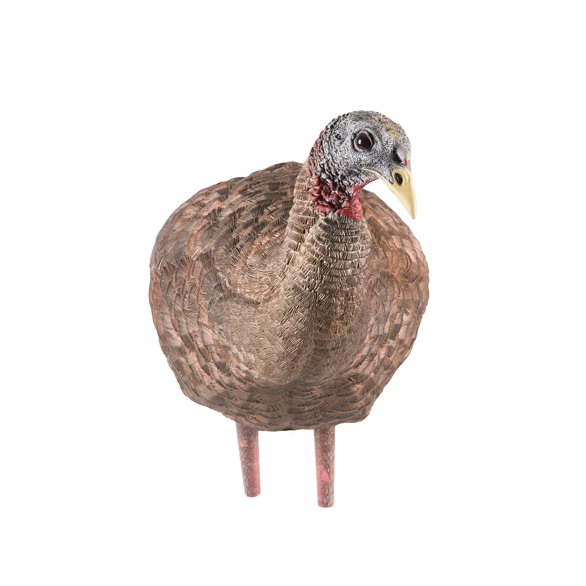 Realistic turkey decoy on a white background