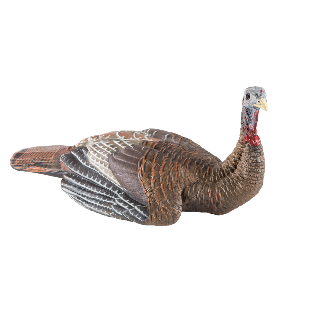 Realistic turkey decoy on a white background