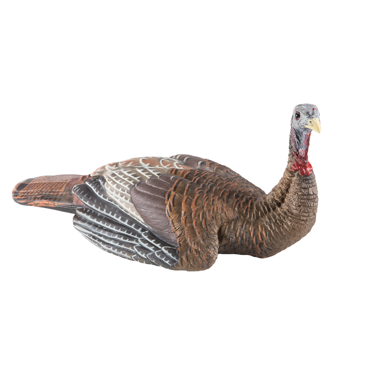 Realistic turkey decoy on a white background