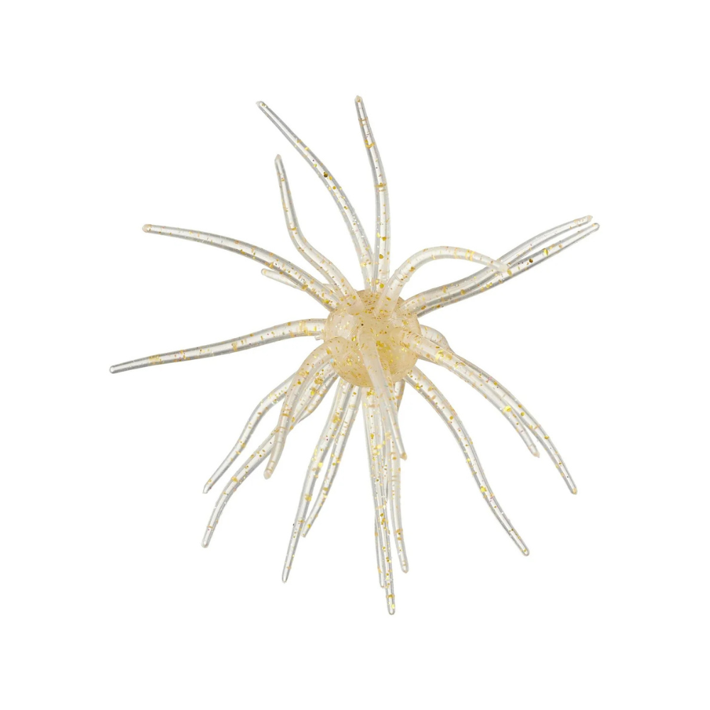 Hag's Prickley Pear 19mm