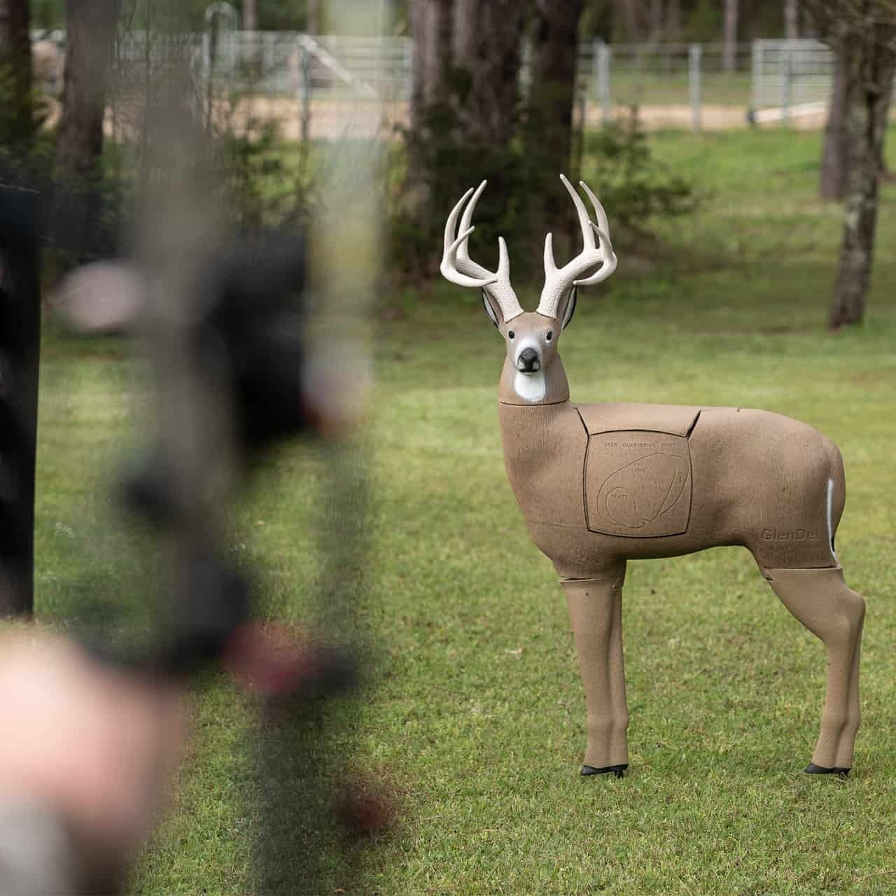 GLENDEL BUCK 3D ARCHERY TARGET