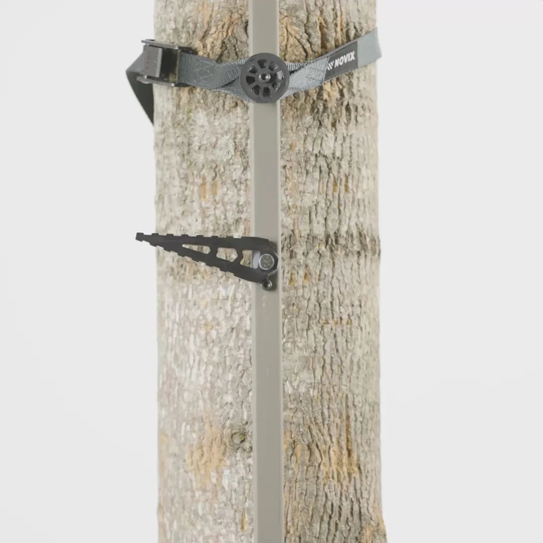 SINGLE STEP CLIMBING STICKS