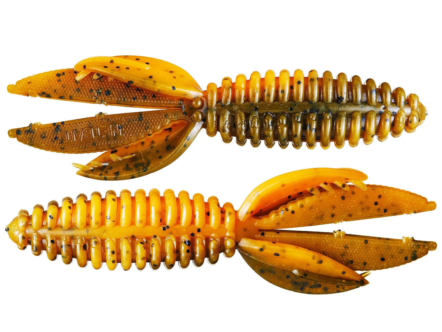 B Bug Creature Bait