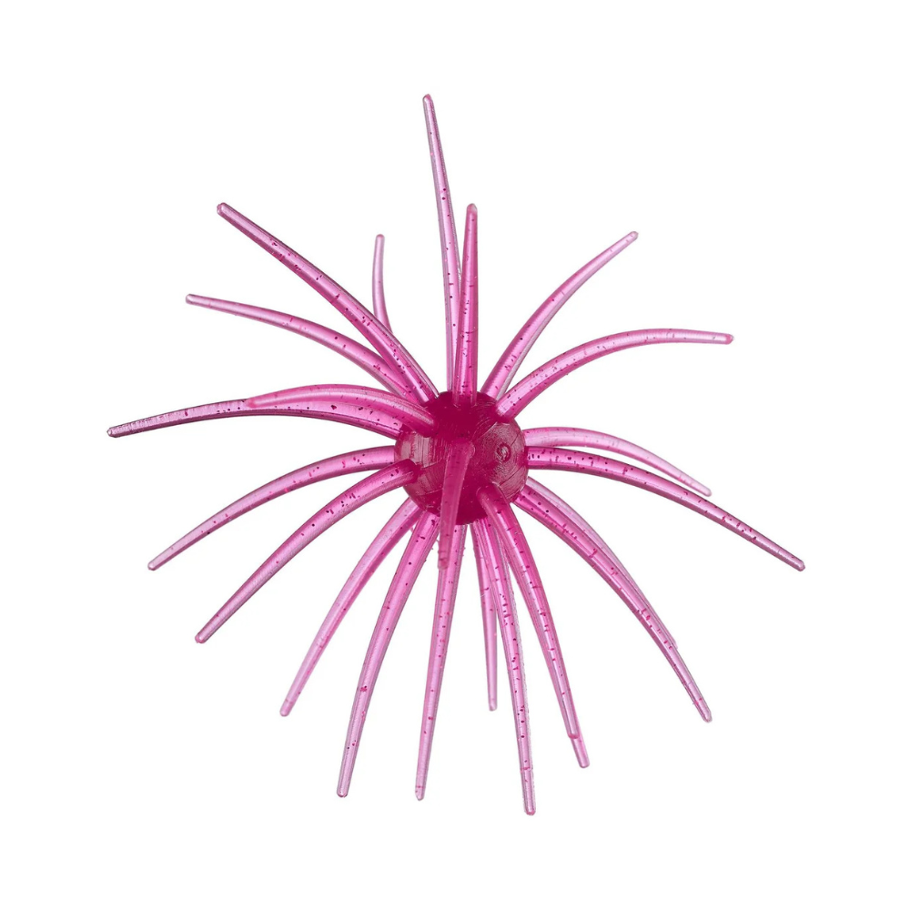 Hag's Prickley Pear 19mm