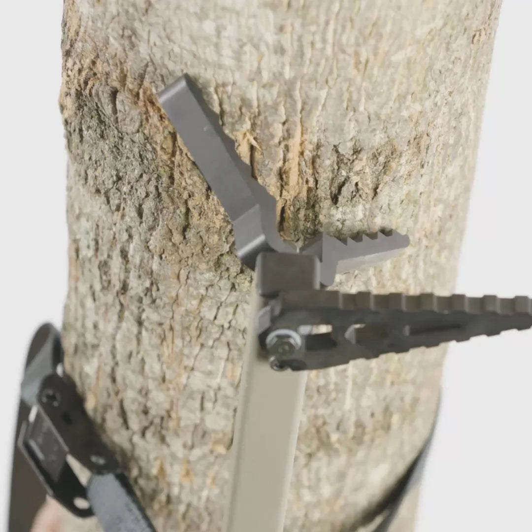 SINGLE STEP CLIMBING STICKS