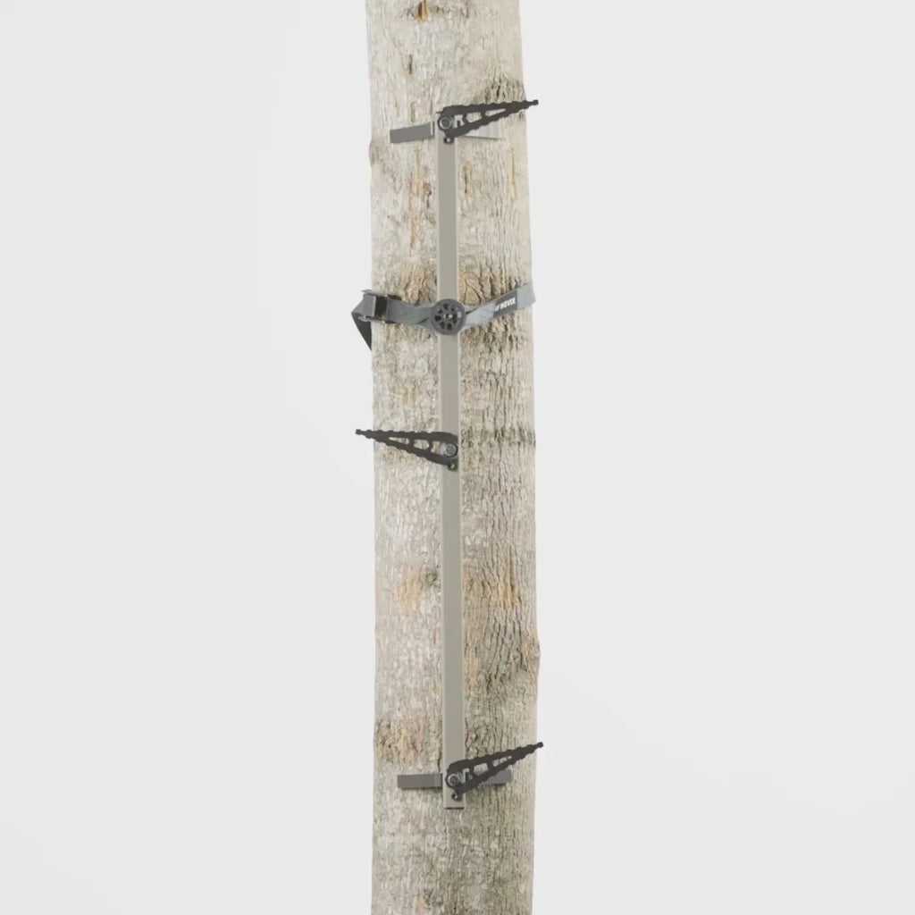 SINGLE STEP CLIMBING STICKS