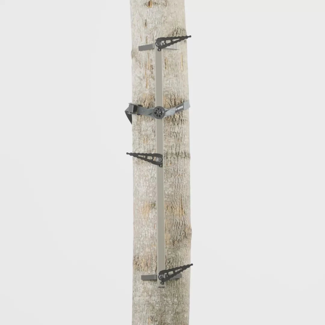 SINGLE STEP CLIMBING STICKS