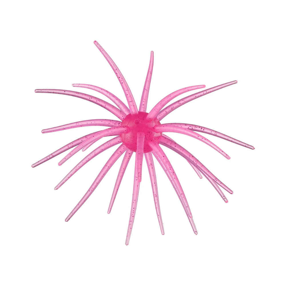 Hag's Prickley Pear 19mm