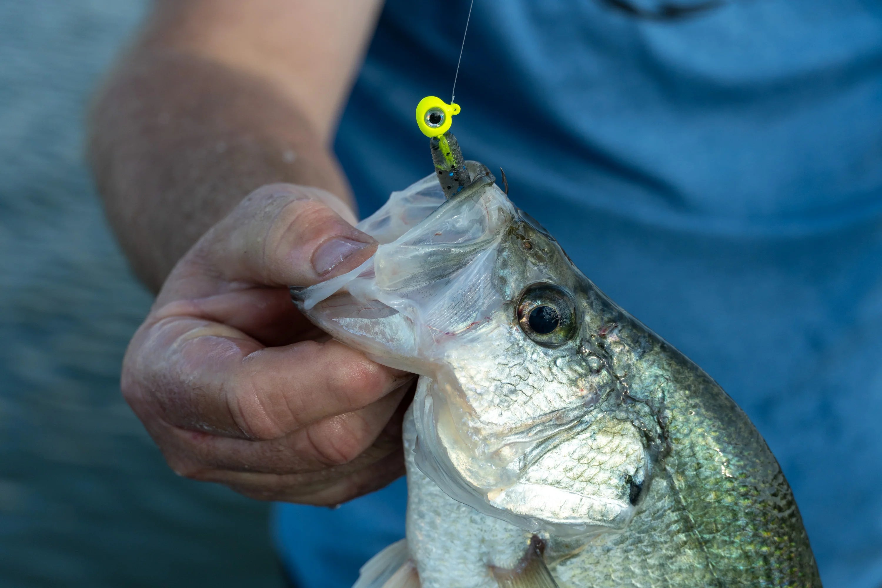 1standard Bait Jighead