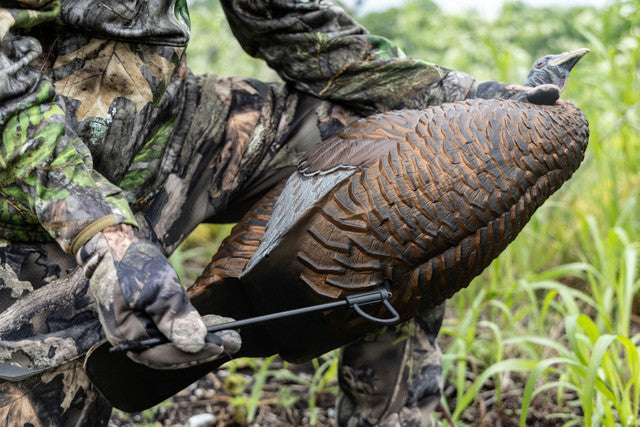 Person in camouflage holding a large bird in a natural setting