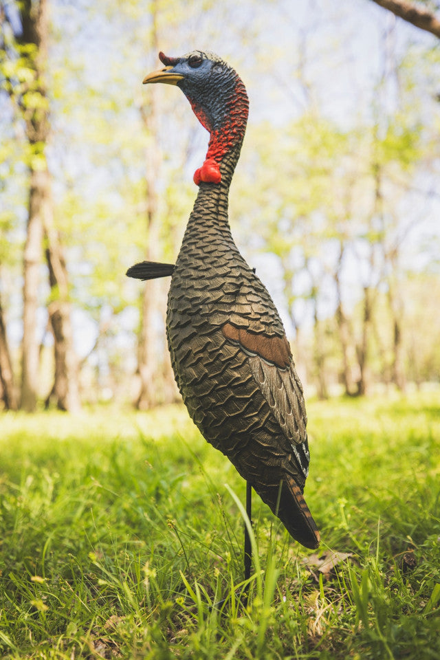 Turkey decoy in a grassy field with trees in the background