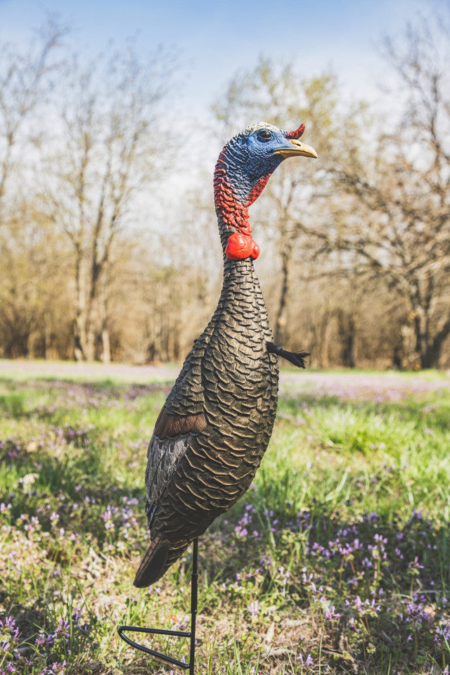 Turkey decoy in a field with trees in the background