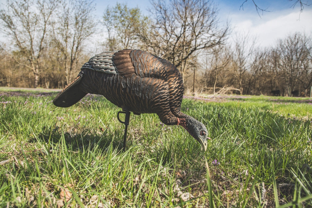 Flextone Thunder Chick Feeder