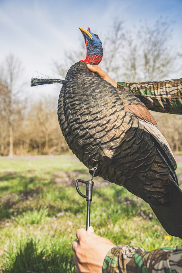 Person holding a turkey decoy in a natural setting