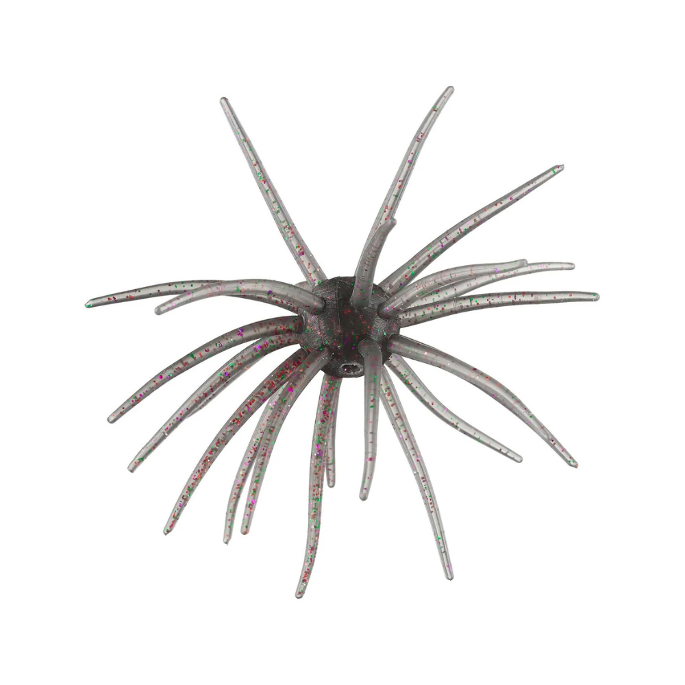 Hag's Prickley Pear 19mm
