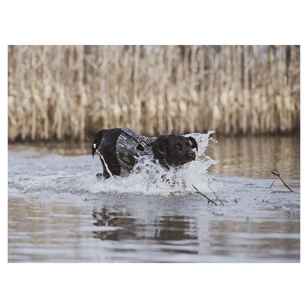 Ducks Unlimited Topflight Dog Vest