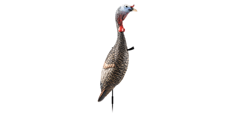 Turkey decoy on a white background