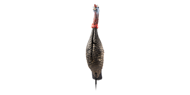 Turkey decoy on a white background