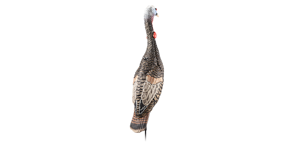 Realistic turkey decoy on a white background