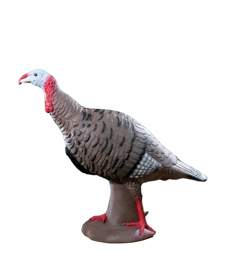 Realistic turkey decoy on a white background