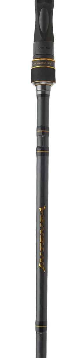 Shimano Intenza A Casting Rods