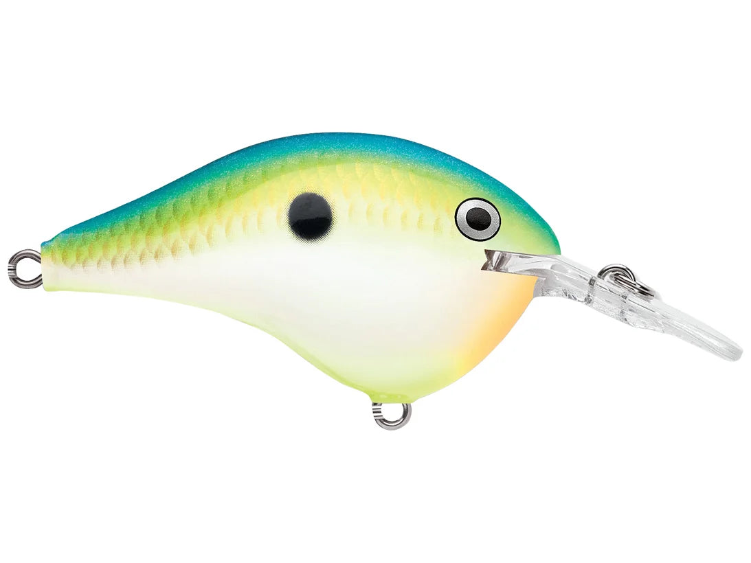 Rapala DT6 Series Crankbaits