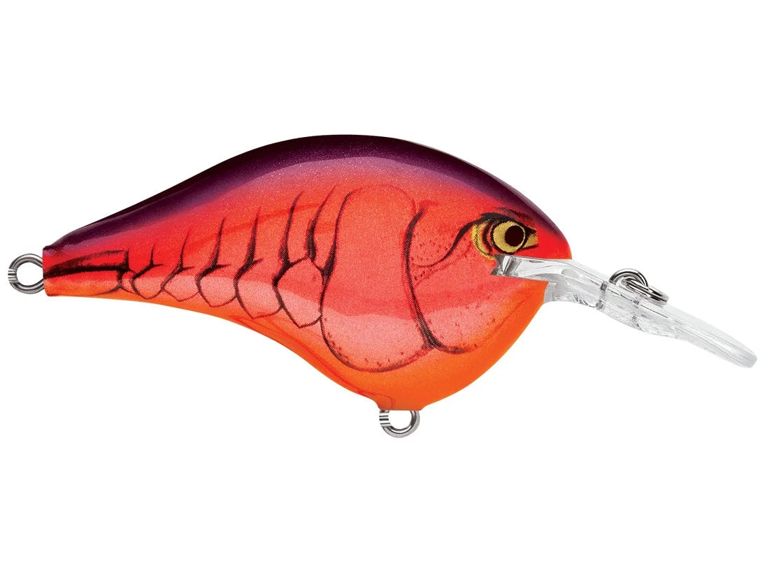 Rapala DT6 Series Crankbaits