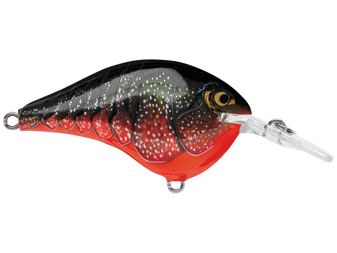 Rapala DT6 Series Crankbaits