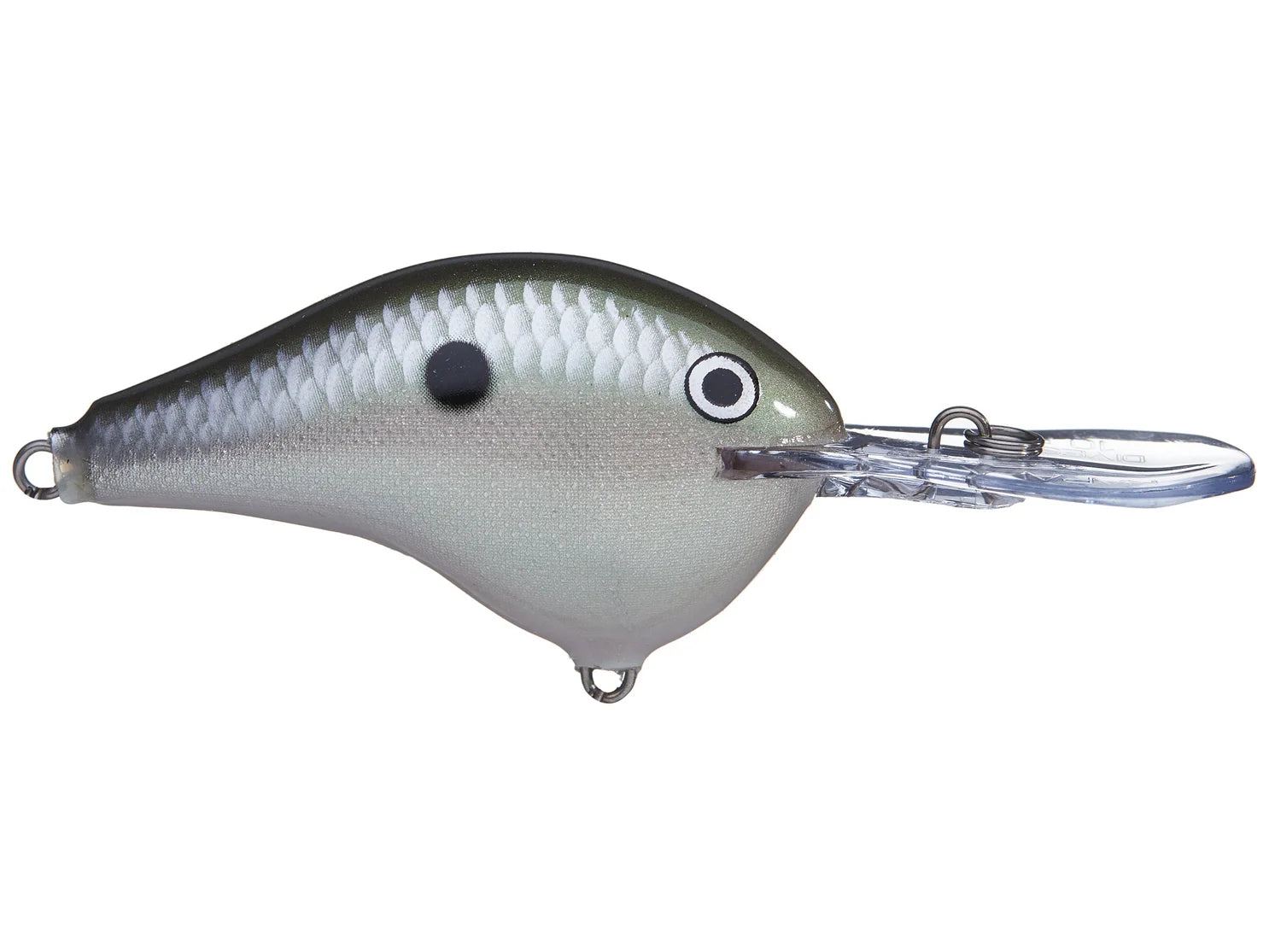 Rapala DT10 Series Crankbait