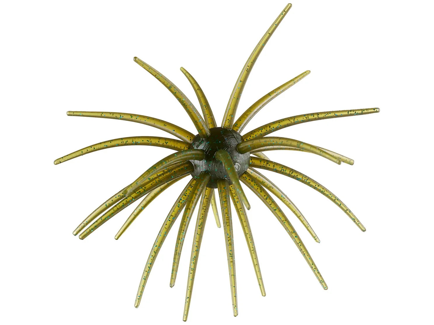 Hag's Prickley Pear 19mm