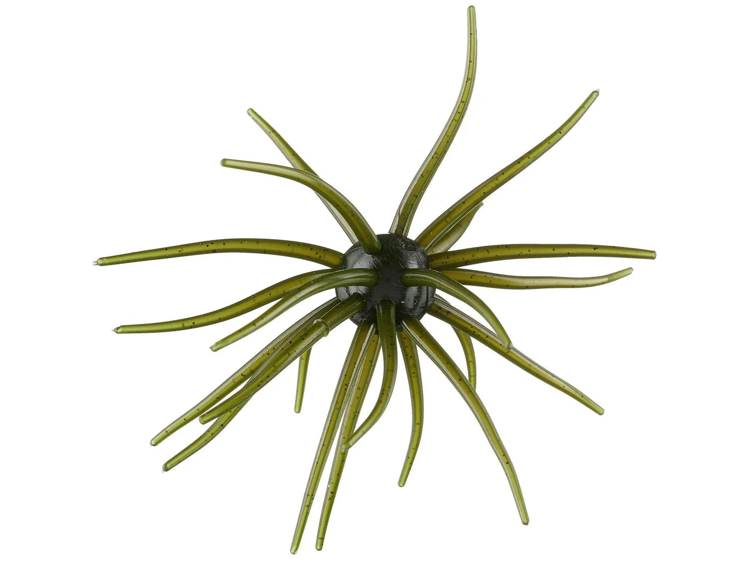 Hag's Prickley Pear 19mm