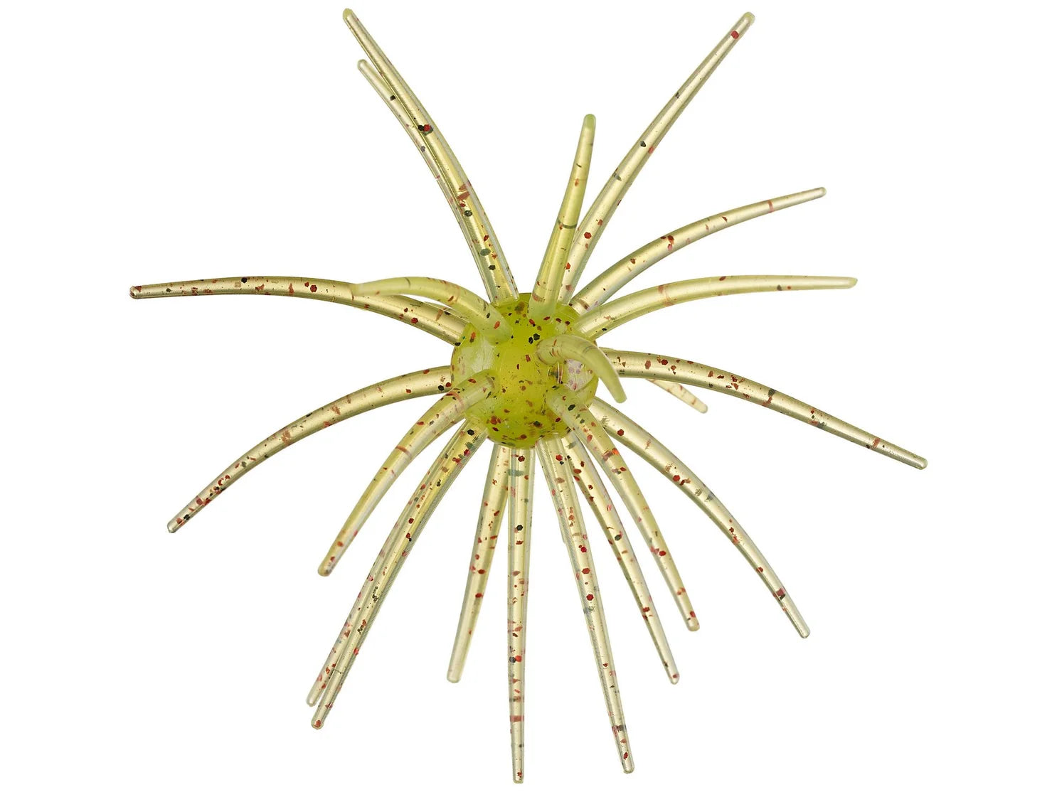 Hag's Prickley Pear 19mm