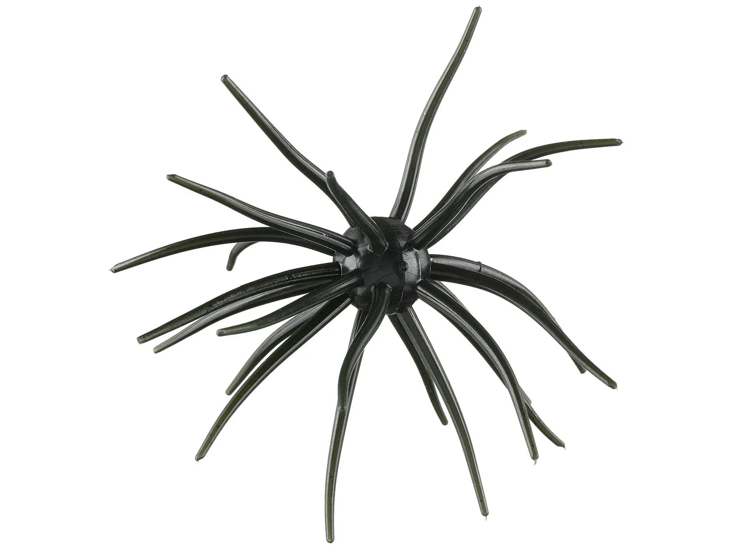 Hag's Prickley Pear 19mm