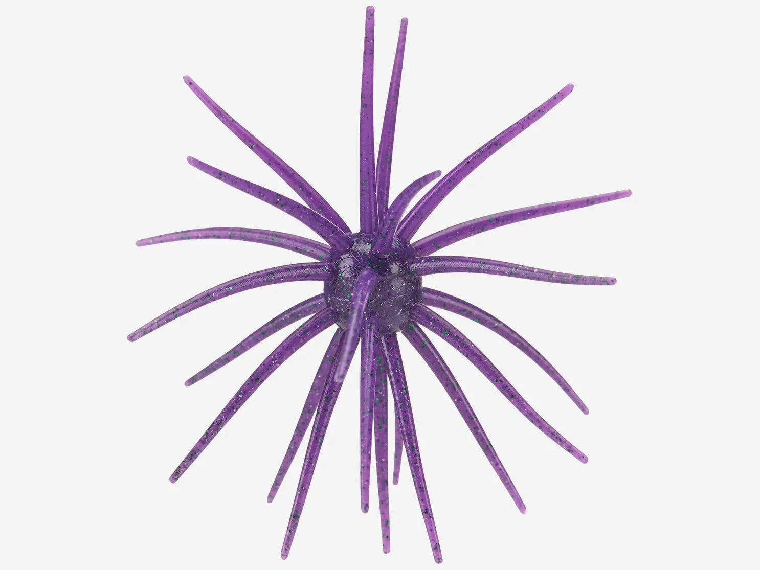 Hag's Prickley Pear 19mm