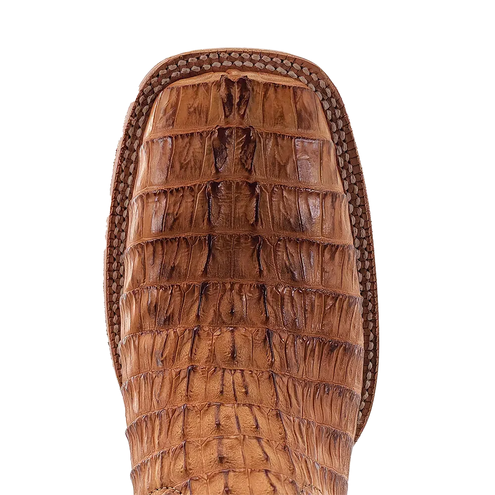 SADDLE HORNBACK CAIMAN TAIL