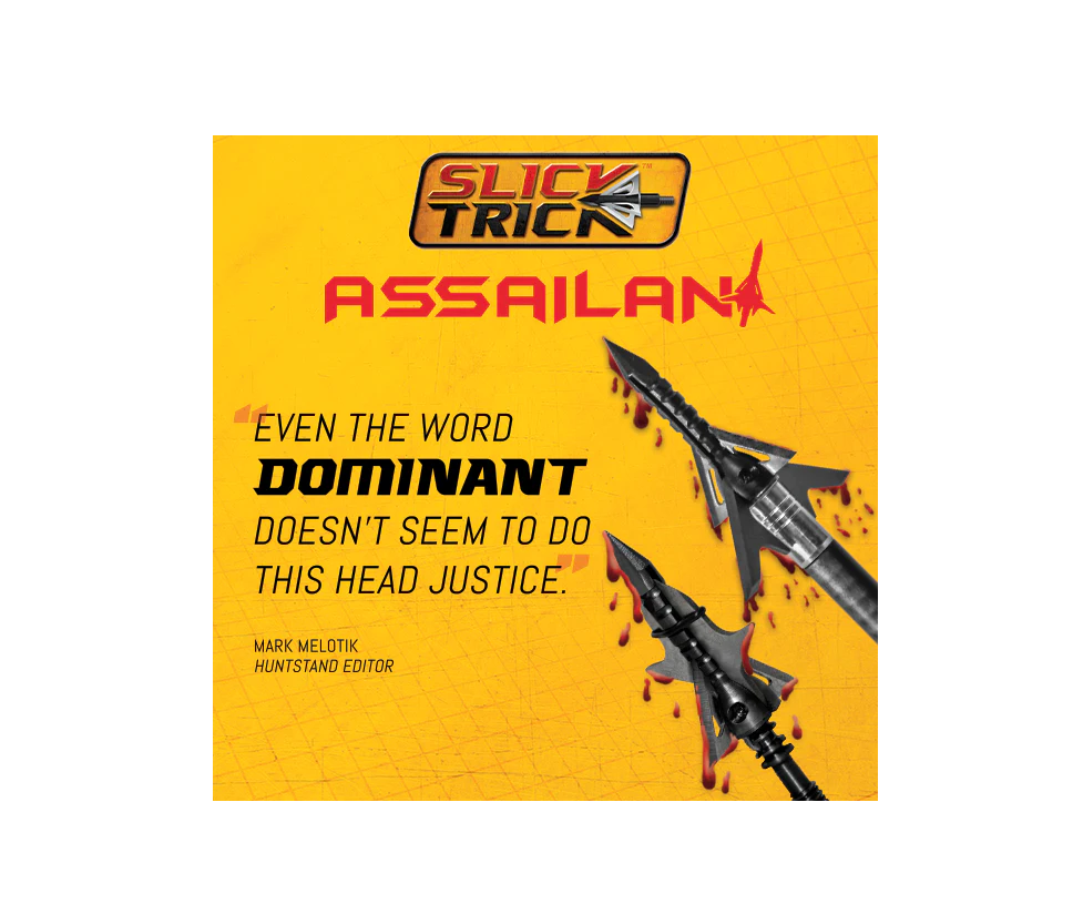 ASSAILANT HYBRID 100 GR