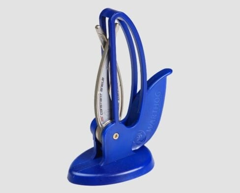 CURVE BLUE