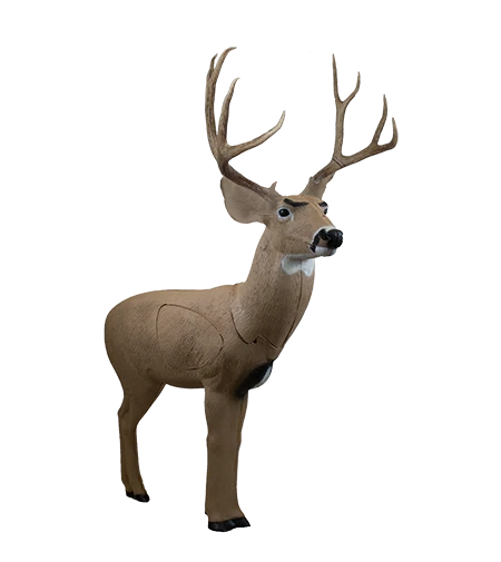 Deer 3D target with detailed antlers on a white background